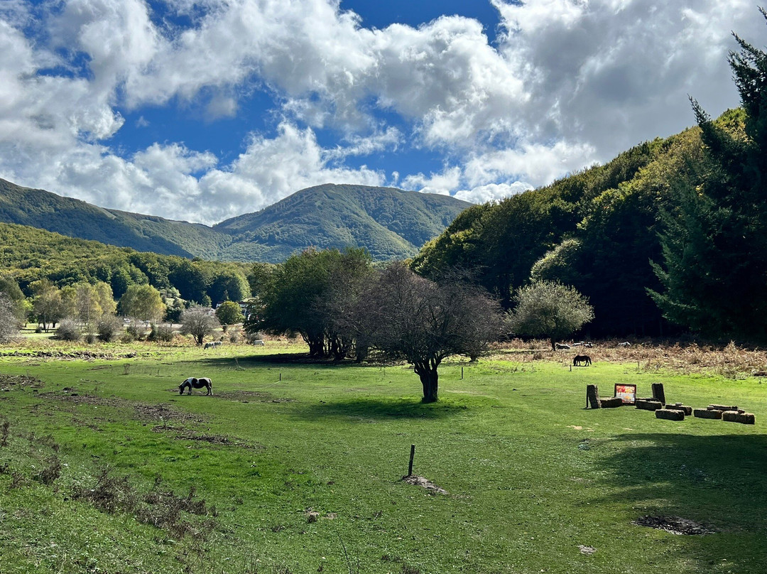 Lago Laceno-Bagnoli Irpino必去景点