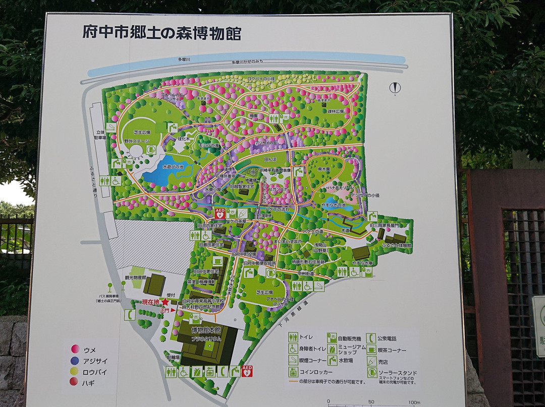 Kyodo No Mori Museum-府中市必去景点