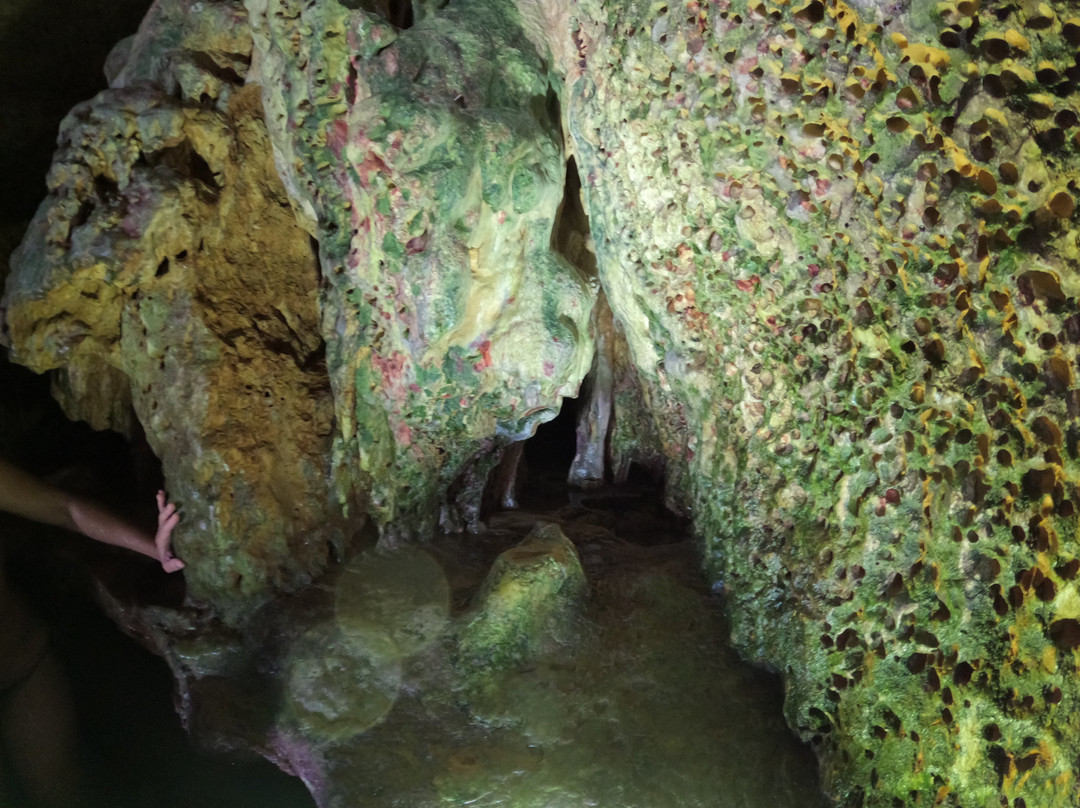 Sea Experience Sardinia-Maristella Porto Conte必去景点