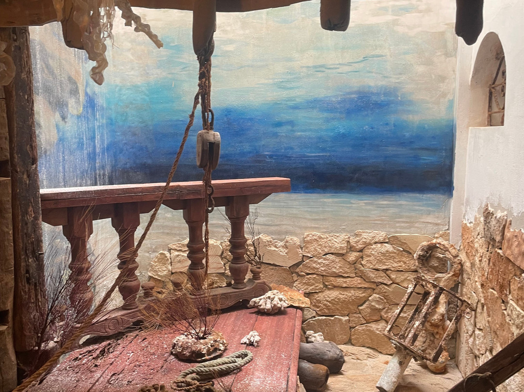 Museu dos Naufragos-萨尔雷必去景点