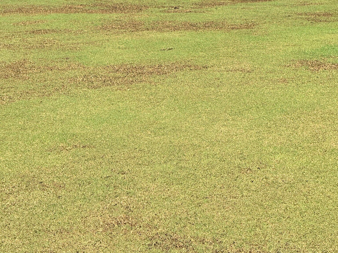 Duran Golf Club景点图片