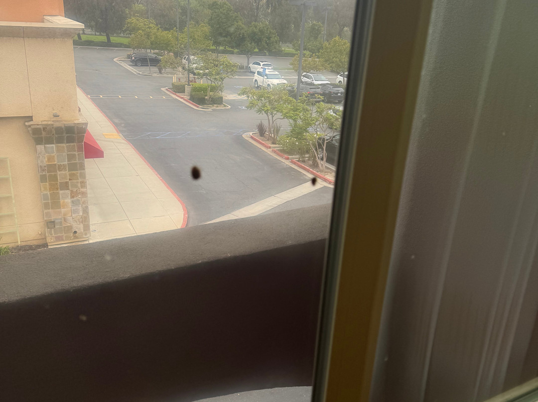 Ayres Hotel Seal Beach - Cypress主图