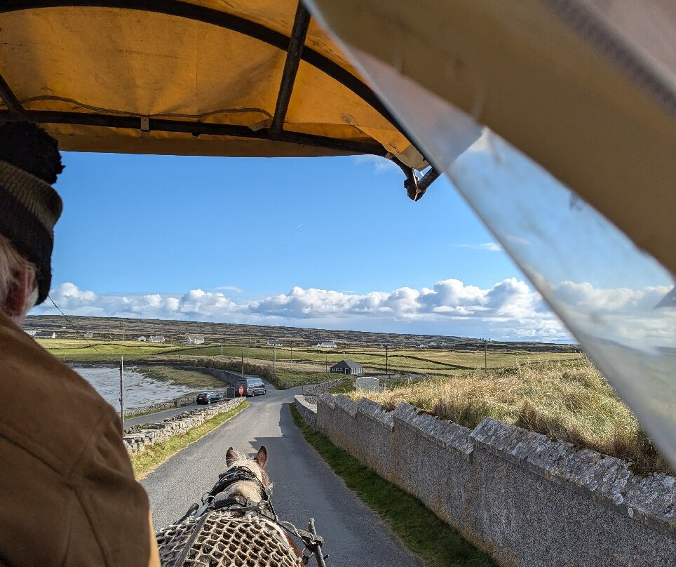 Inis Mor Horse Carriage tours-Inishmore必去景点