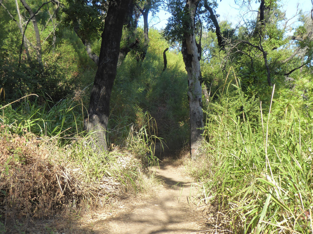 Backbone Trail景点图片