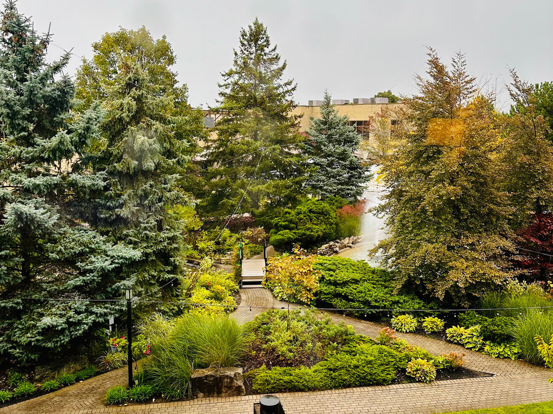 White Oaks Resort & Spa主图