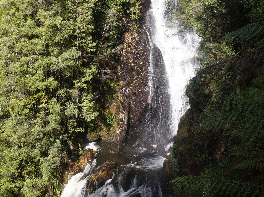 Philosopher Falls-Waratah必去景点