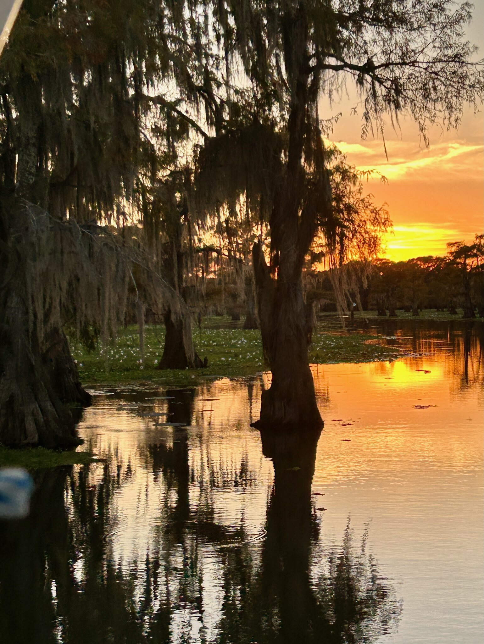 Shady Glade Resort-官方