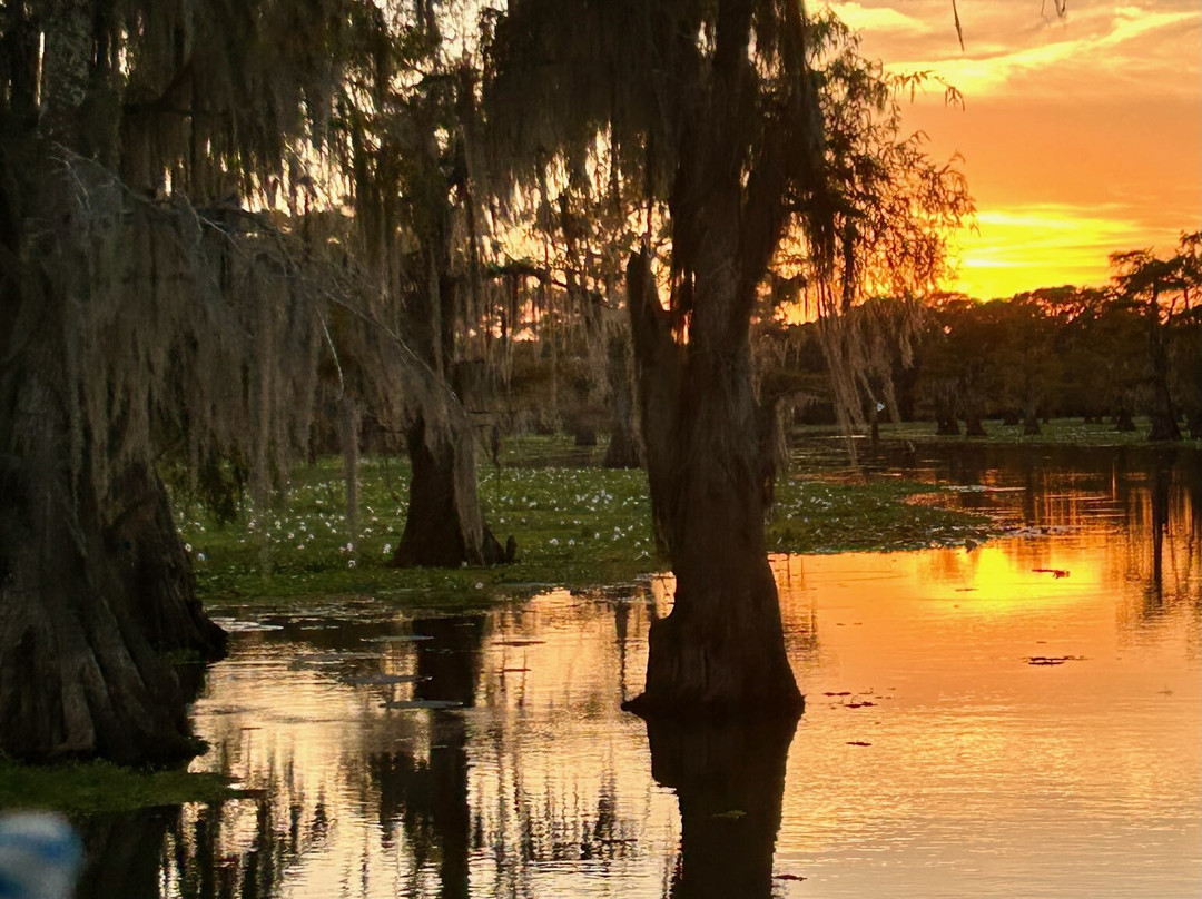 Shady Glade Resort主图