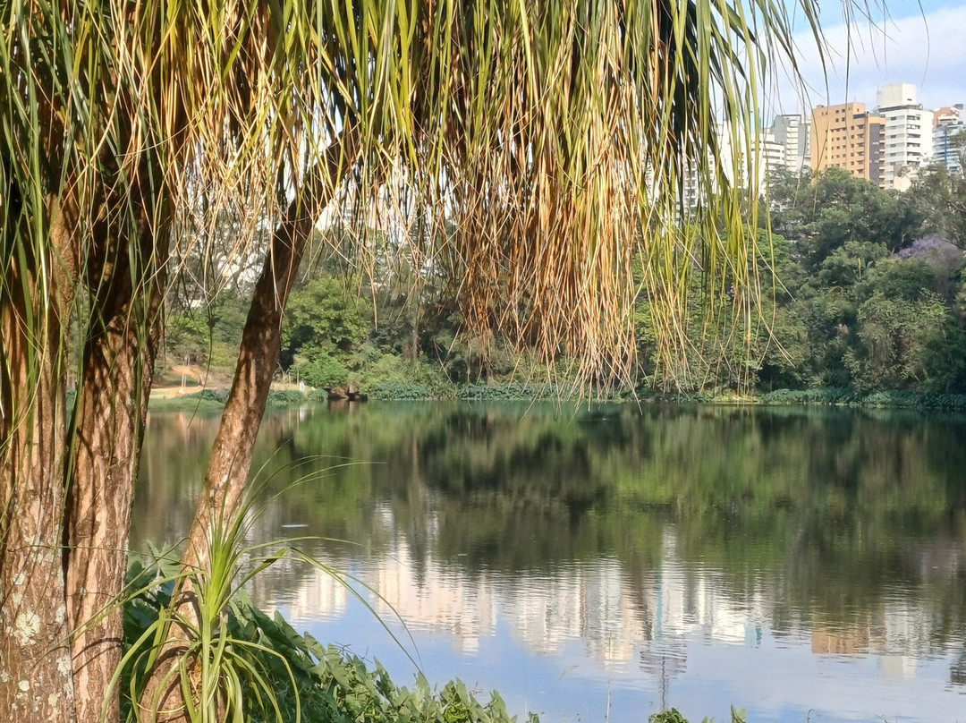 Parque da Aclimação-圣保罗必去景点