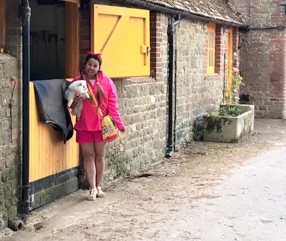 Cowdray Ruins-Easebourne必去景点