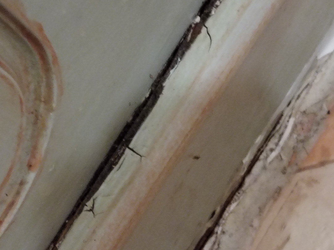 The Carew Arms主图