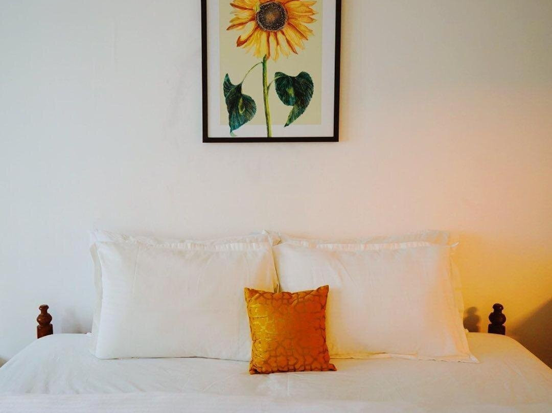 Fortis Rooms