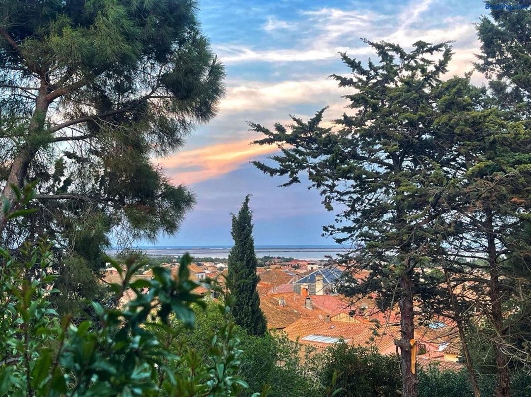 Les Terrasses De La Palme