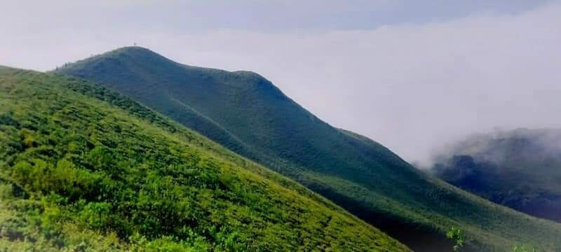 Kyatanamakki Hill Station景点图片