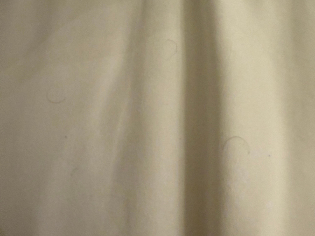 The Stricklin Hotel主图