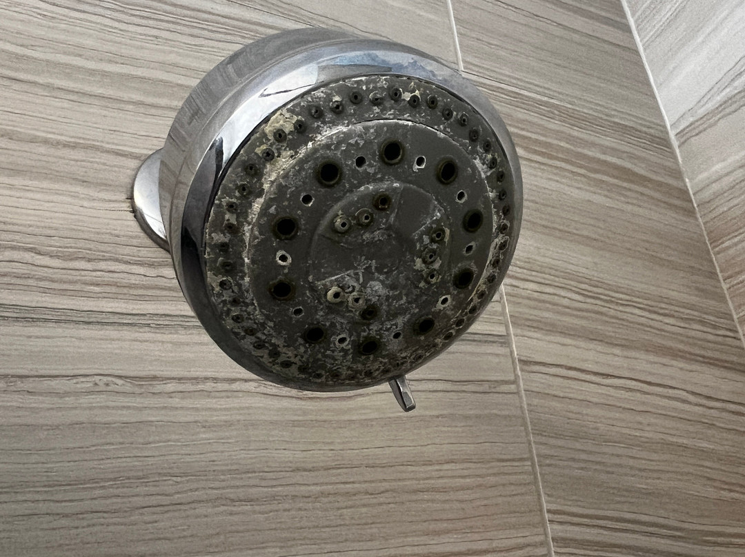 La Quinta Inn & Suites by Wyndham St. Paul-Woodbury主图