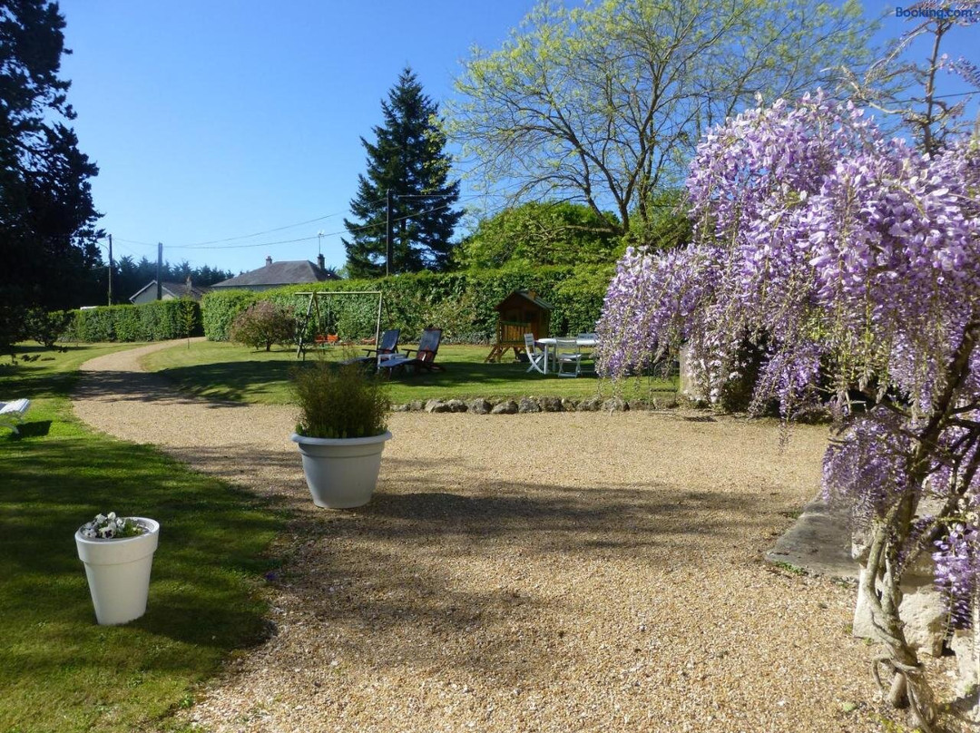 Chambon-sur-Cisse旅游攻略图片