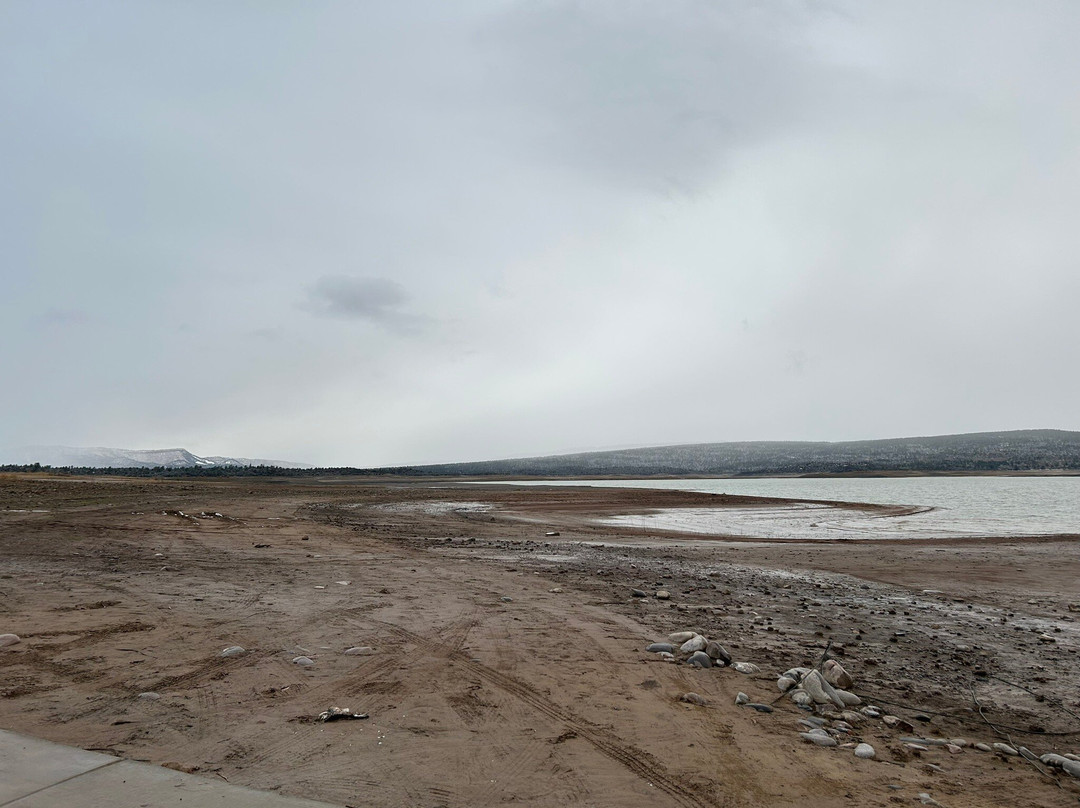 Heron Lake State Park景点图片
