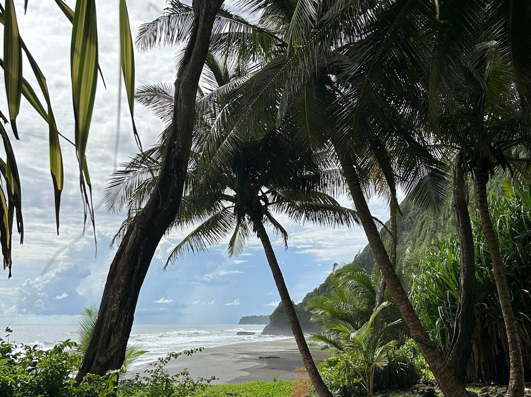 Rosalie Bay Eco Resort & Spa主图