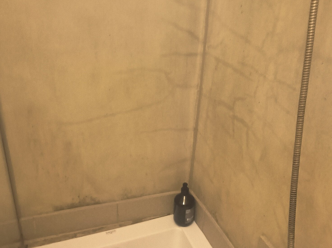 Das-Hornsteiner主图