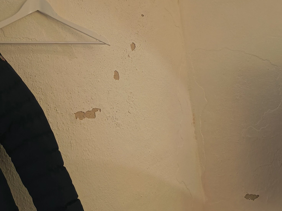 Das-Hornsteiner主图