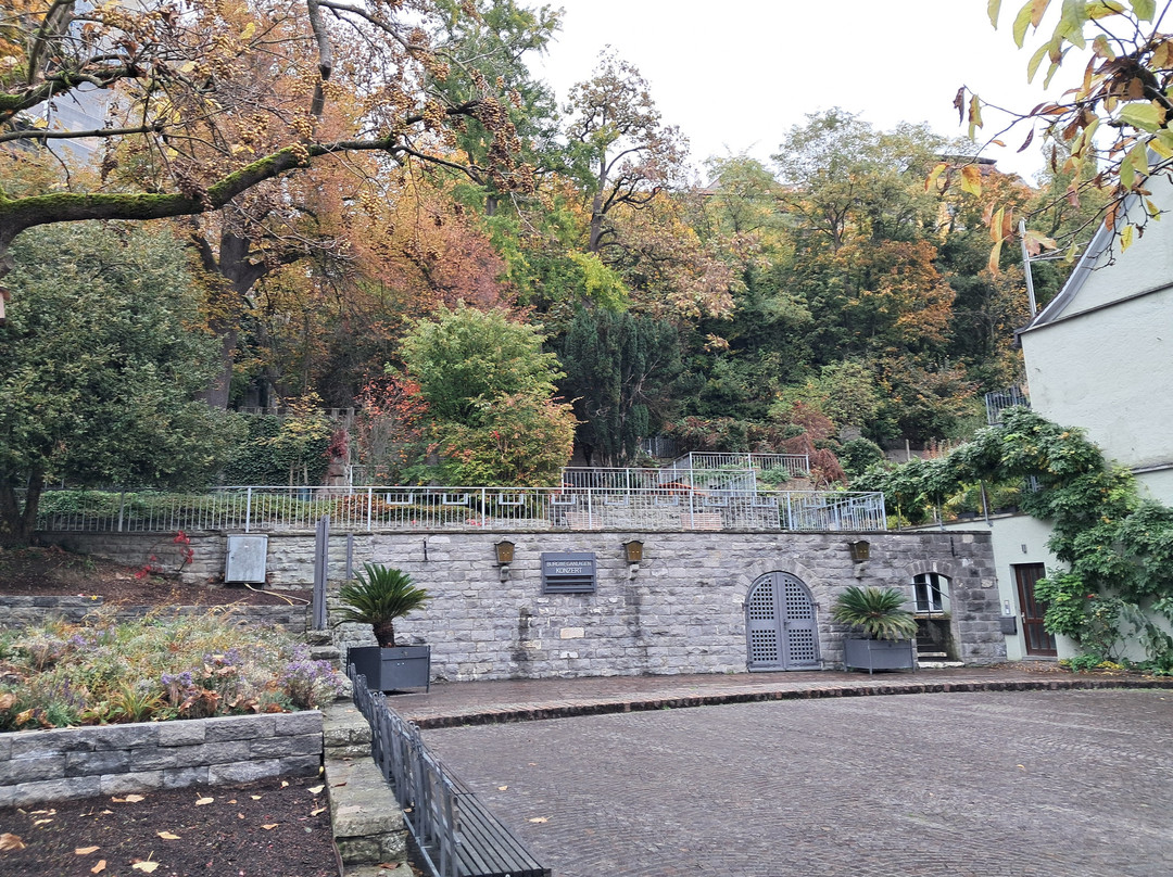 Burgweganlage景点图片