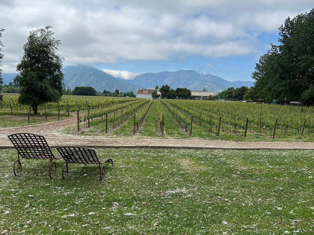 Queulat Expediciones-圣地亚哥必去景点