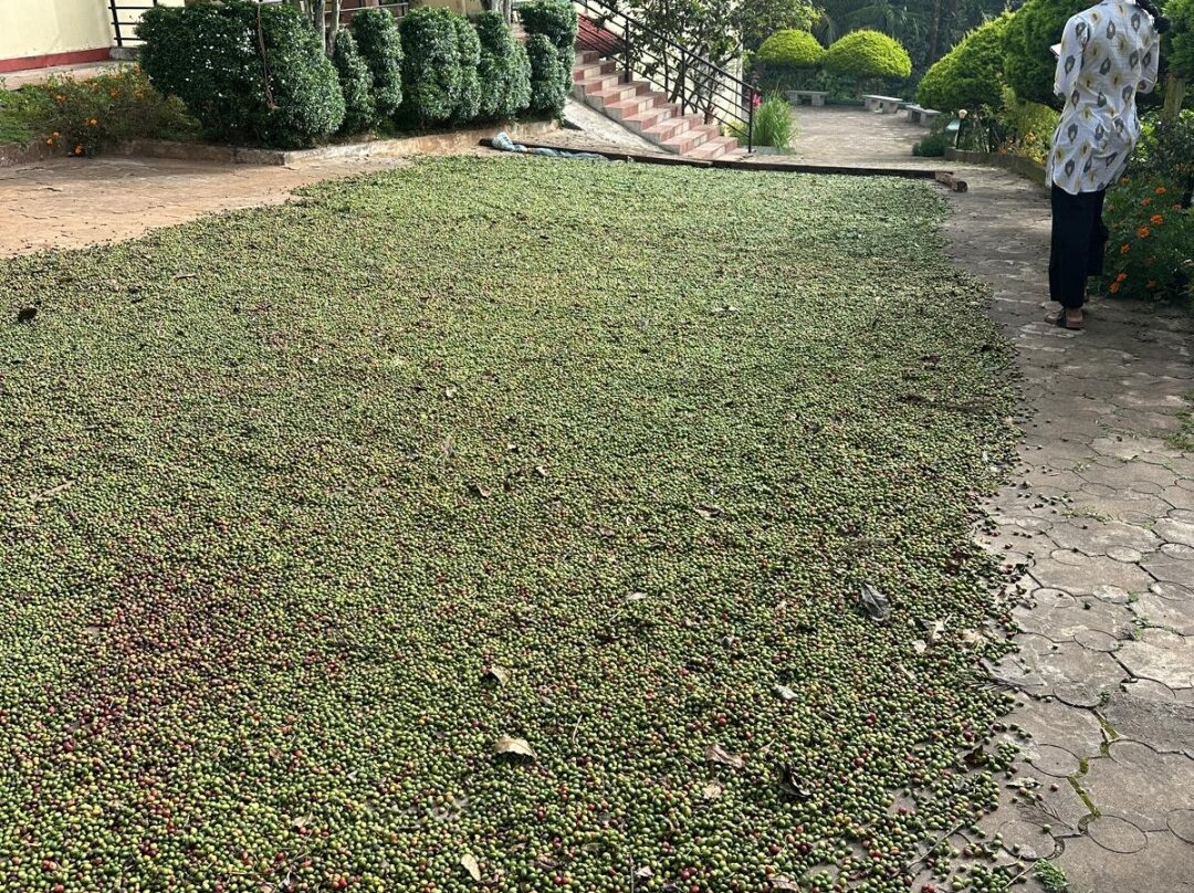 Ibbani Cadu Estate Homestay主图