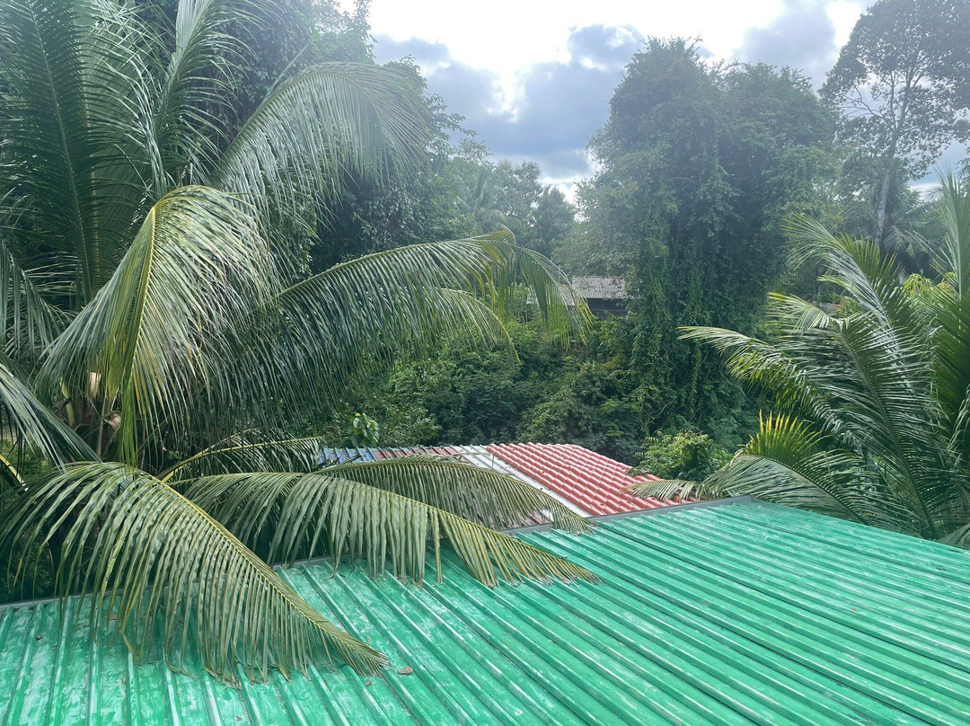 Jami River Side Hotel & Yala Safari Place主图