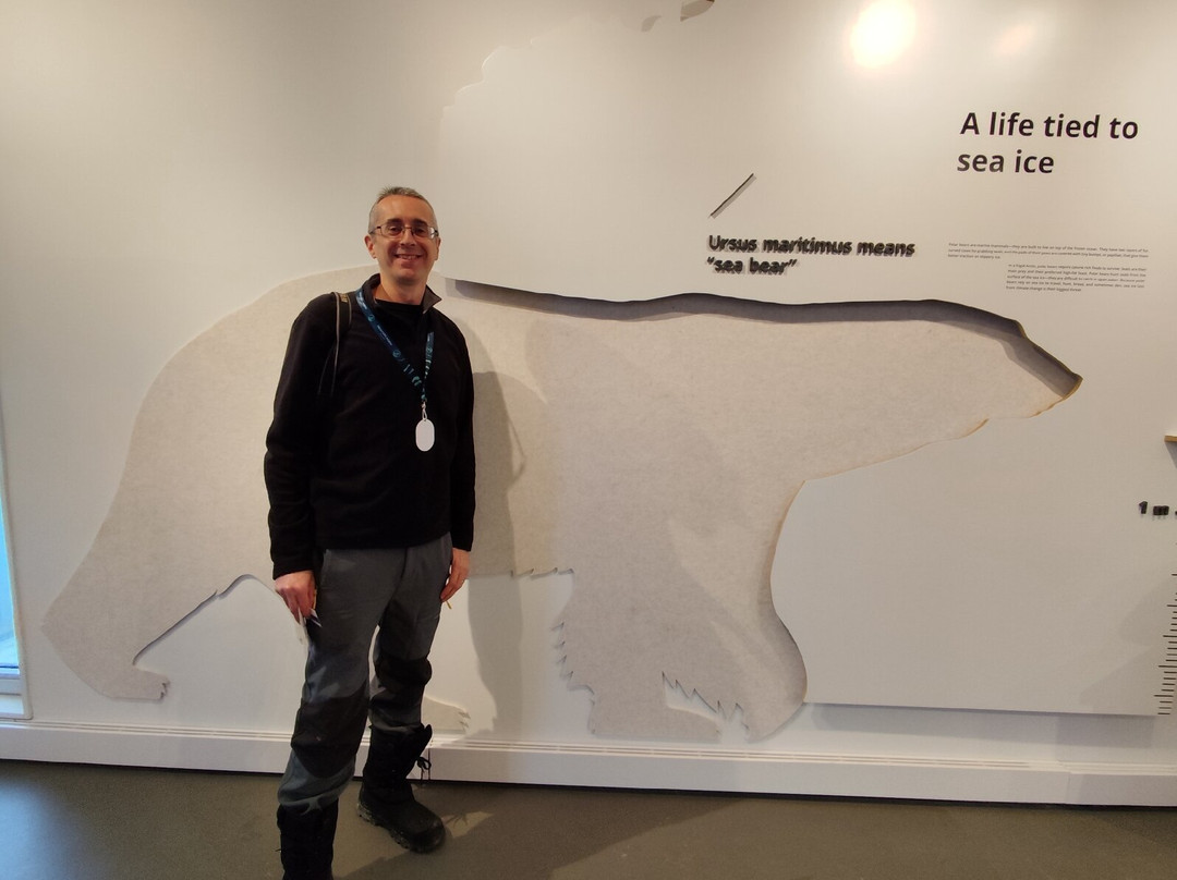 Polar Bears International