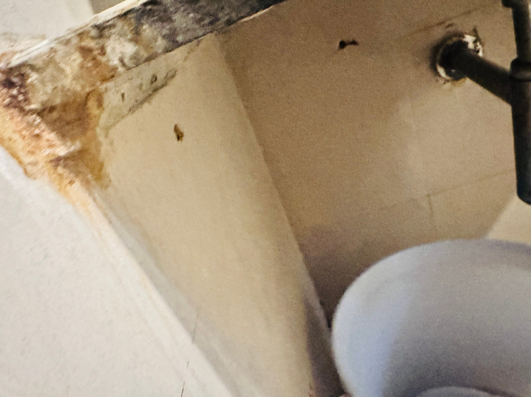 Radhey Ki Haveli主图