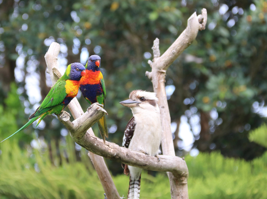 Salamander Bay Bed and Breakfast主图