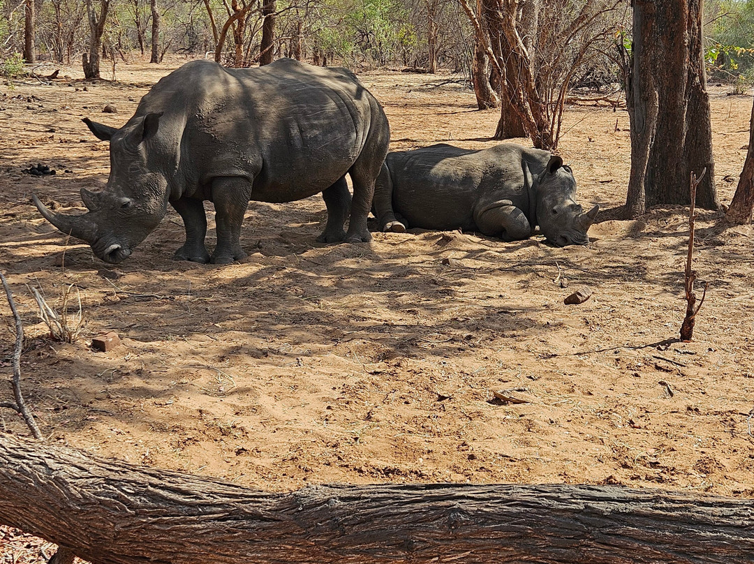 Mosi-oa-Tunya National Park景点图片