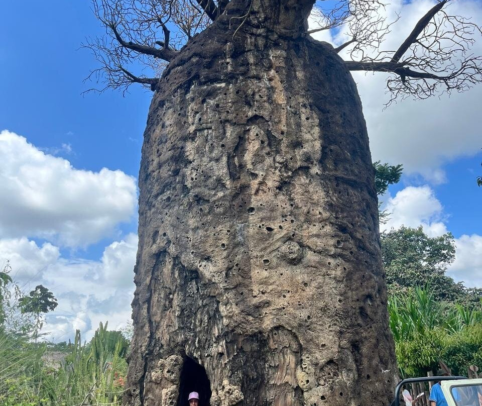 Bioparque Ukumarí-佩雷拉必去景点