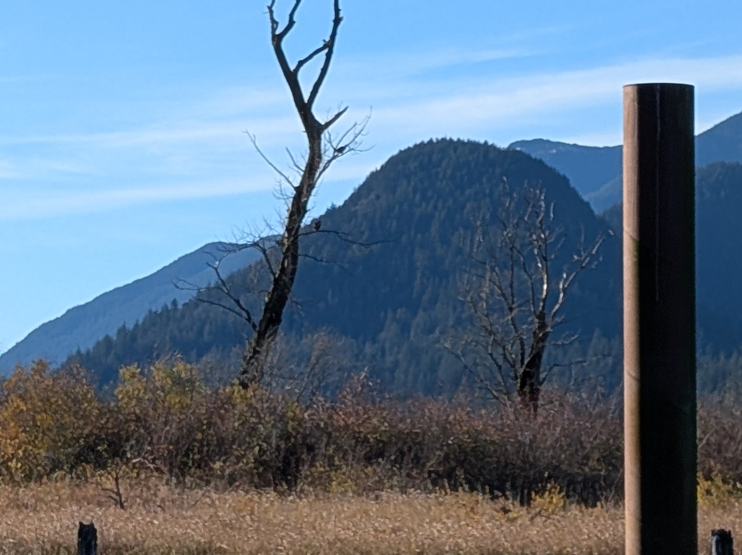Harrison Eco Tours-哈里逊温泉必去景点