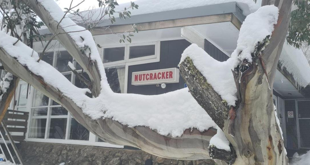 Nutcracker Ski Club