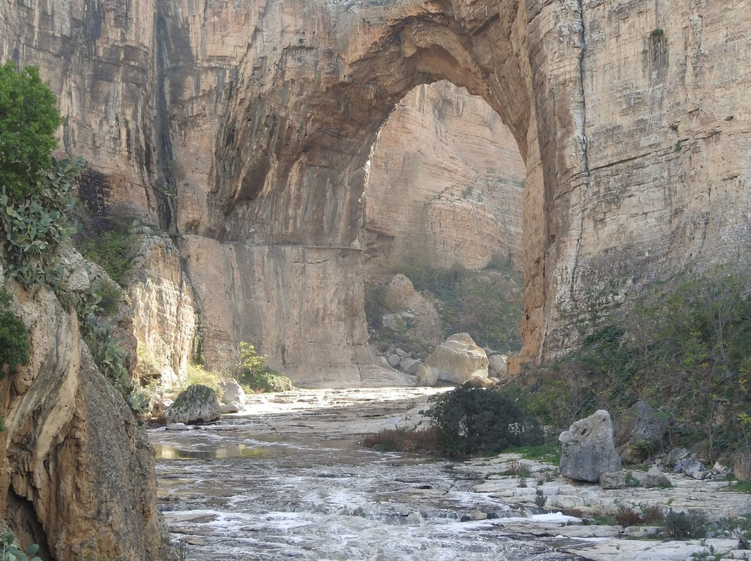 Pont des Chutes景点图片