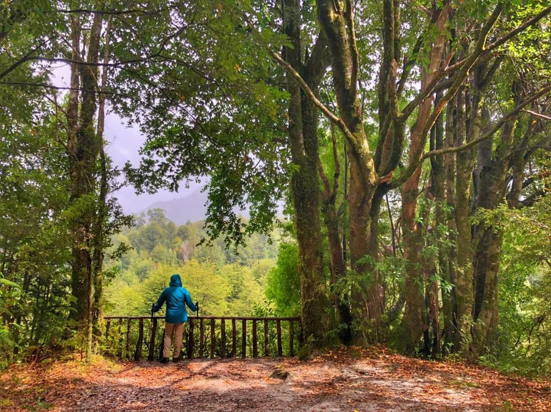 Green Patagonia Travel