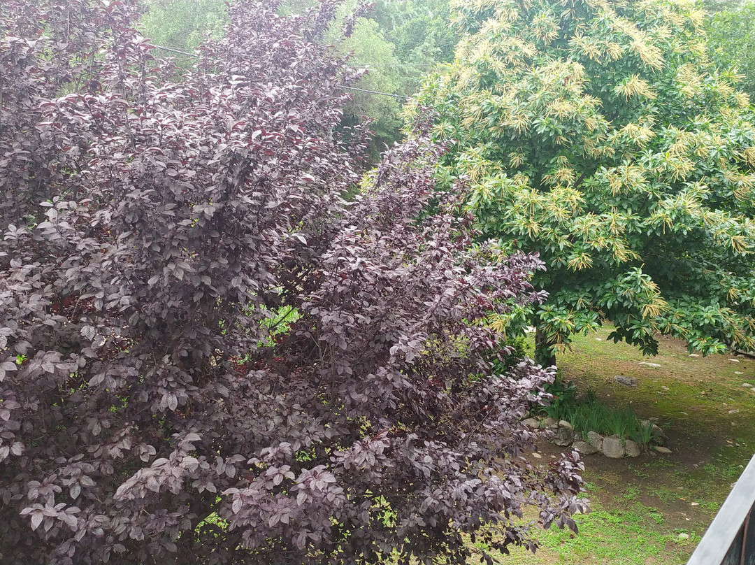 La Barraca Resort主图