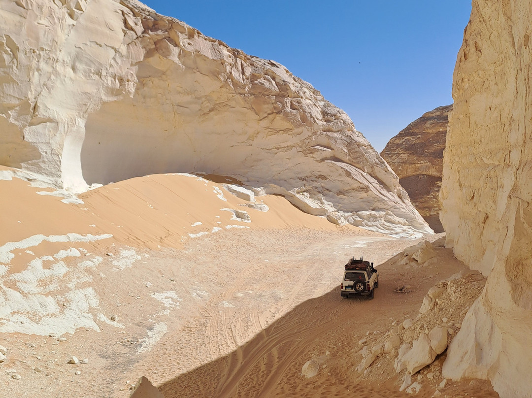 White Desert Safari景点图片