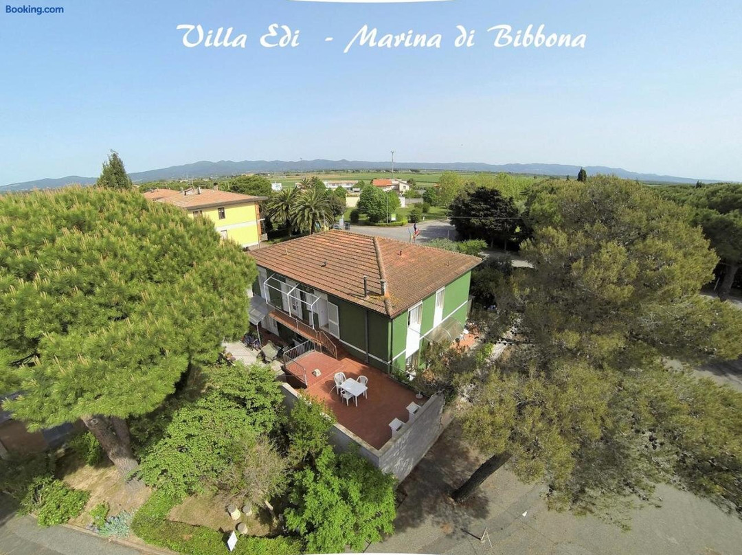 Villaedi