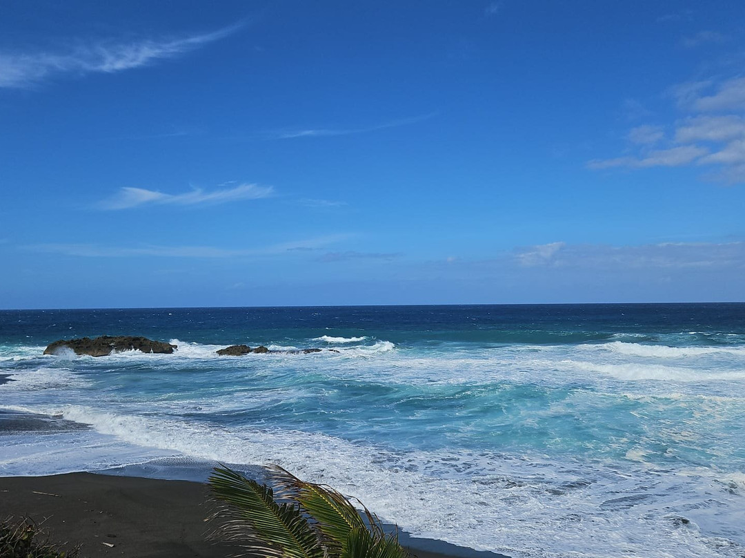 Puerto Las Vacas-巴塞罗那塔必去景点