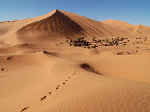 Desert Du Maroc-迈哈米德必去景点