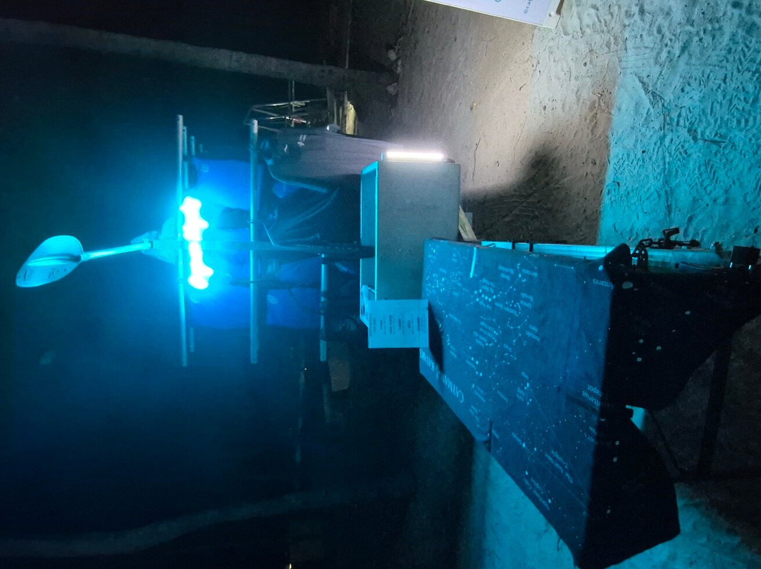 Cayman Kayaks-Rum Point必去景点