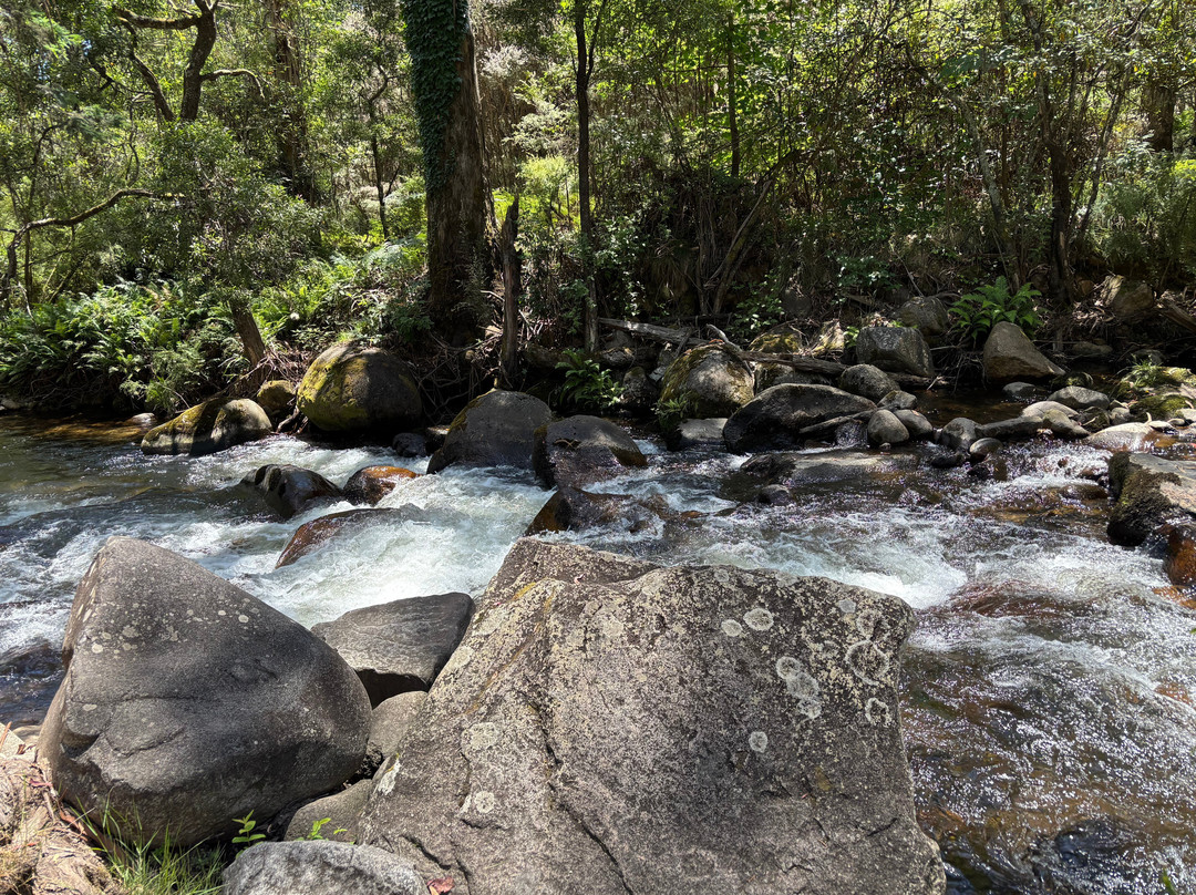 Australis 4WD Adventures-曼斯菲尔德必去景点