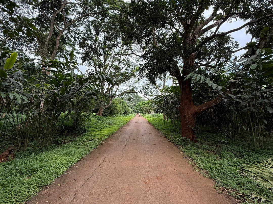Luzaya-卢安达必去景点