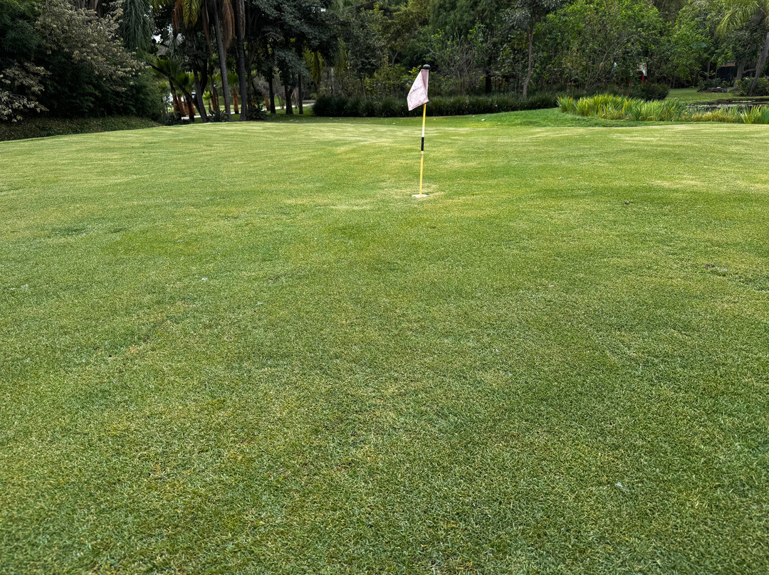 Huayacán Cuernavaca Curamoria Collection主图