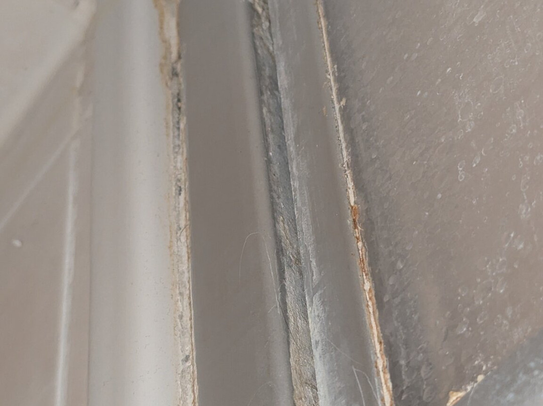 Seehotel Schwanenhof主图