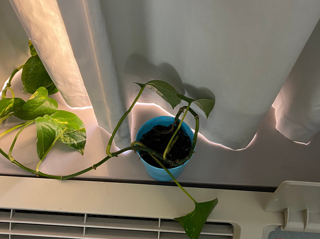 Comfort Inn Blythewood主图