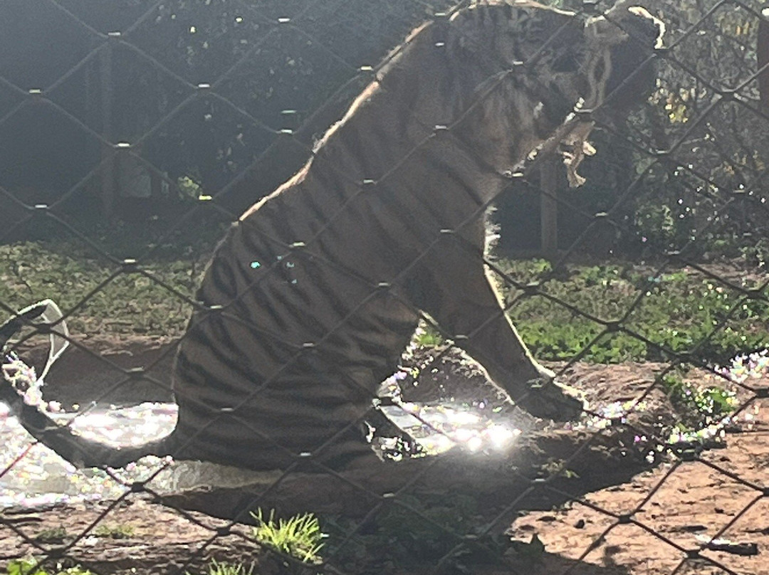 Jardin Zoologique de Rabat-拉巴特必去景点